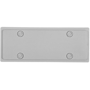 Заглушка для шкафов типа С и G 1xPG42 / 2xPG21 ZP55